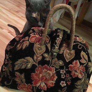 Sac traditionnel